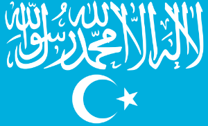 Flag of Turkistan Islamic Party.svg